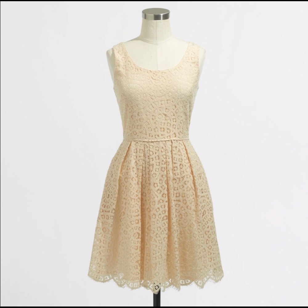 J Crew Factory Swirling Lace Dress